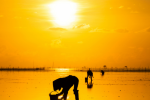 santidade no cotidiano